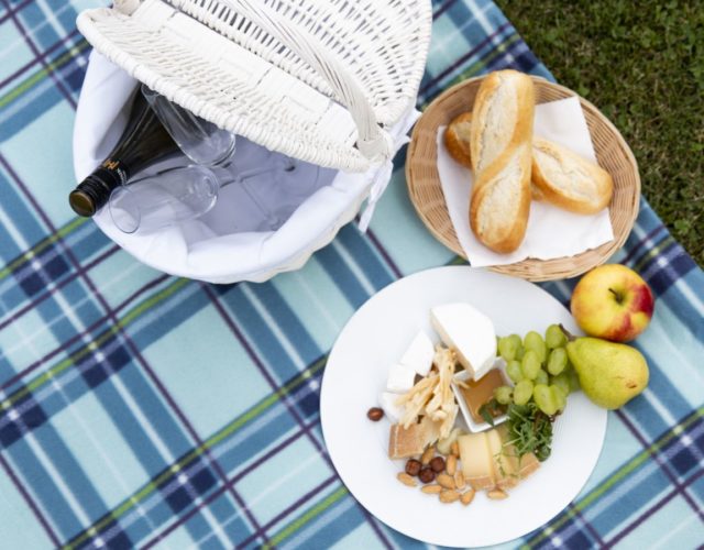 Piknik v parku